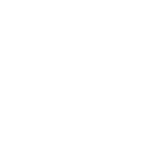 ODS 10 - Reducción de desigualdades